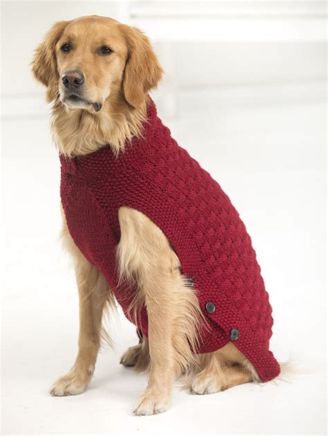 dog sweaters for people.